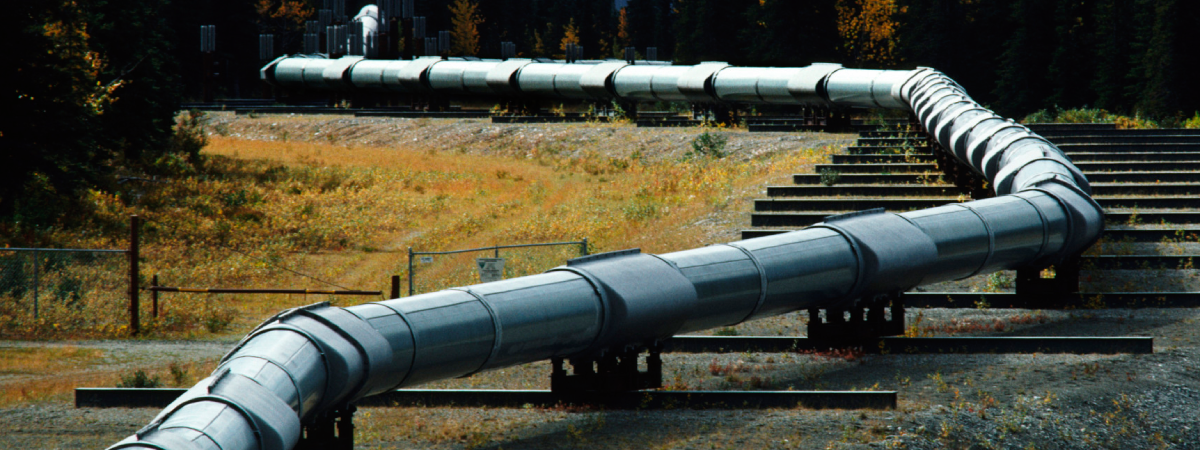 Назначение категории